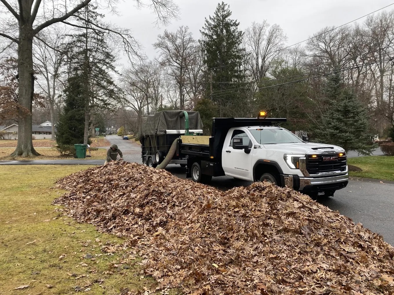 Stone patio and walkway hardscaping